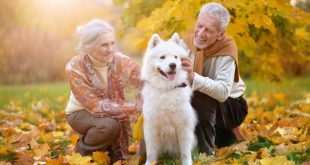 Senioren mit einem Hund