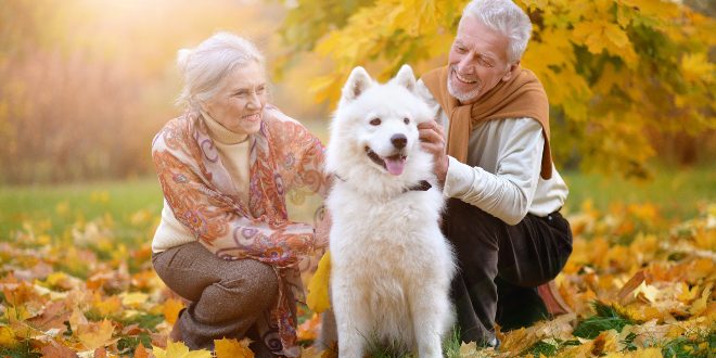 Senioren mit einem Hund