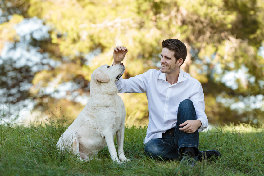 Älterer Hund wird von Herrchen gefüttert