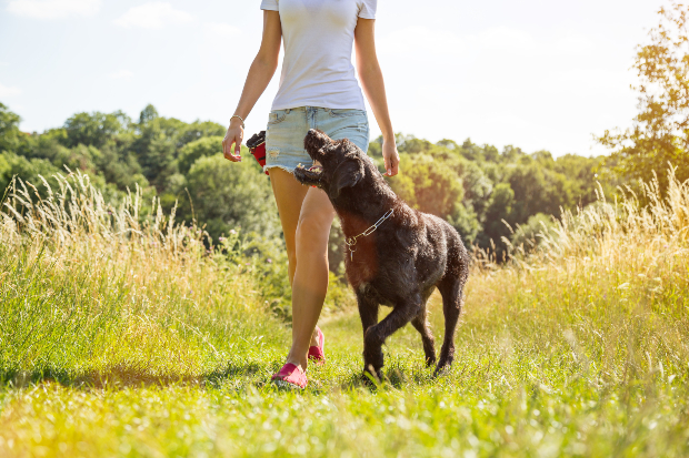 Junge Frau geht mit dem Hund Gassi im Frühling