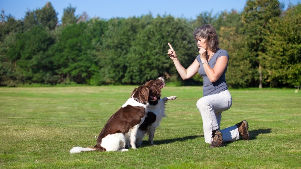 Frau mit zwei Hunden und einer Hundepfeife