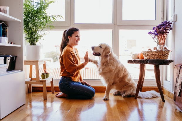 Frau mit ihrem Golden Retriever 