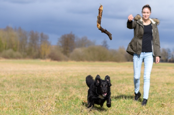 hund-stoeckchenspiel-frauchen-gefahr-beim-stoeckchenspiel