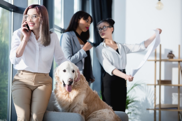 Hund im Büro mit 3 Frauen