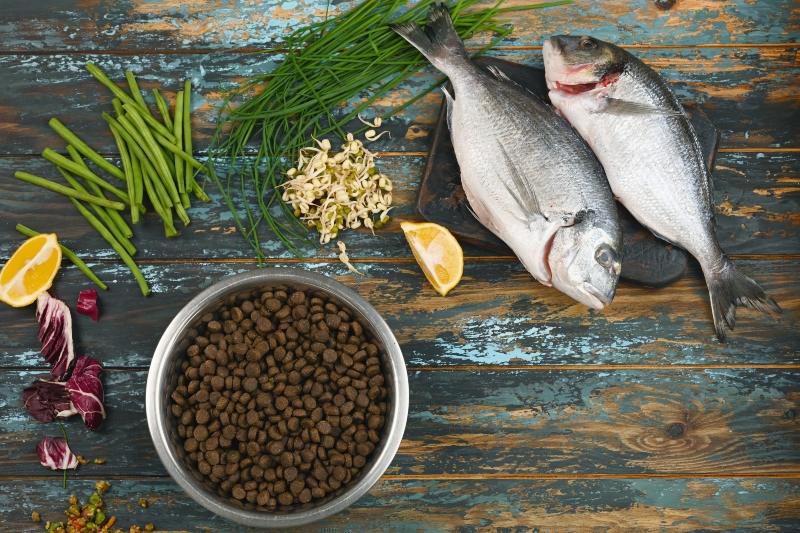 Fischsnacks fĂŒr Hunde