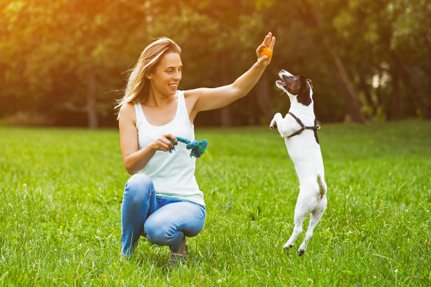 Frau spielt mit Jungem Hund - Welchen Zeitaufwand bringt ein Hund?