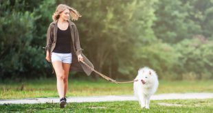 Frau geht mit Hund Gassi - Welchen Zeitaufwand bringt ein Hund?