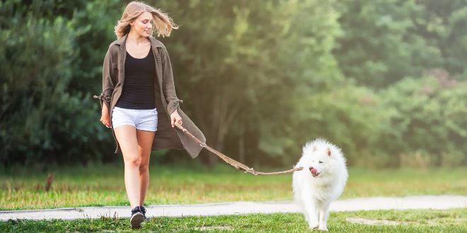 Frau geht mit Hund Gassi - Welchen Zeitaufwand bringt ein Hund?