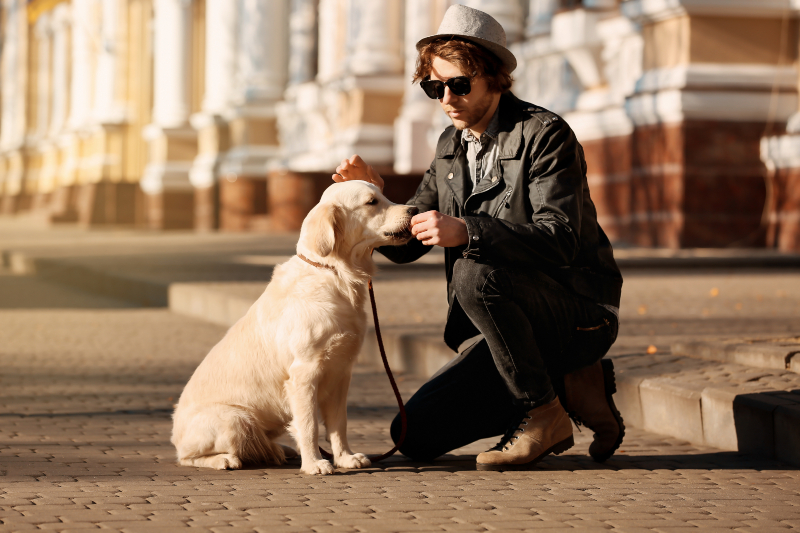 Mann füttert Hund in der Stadt