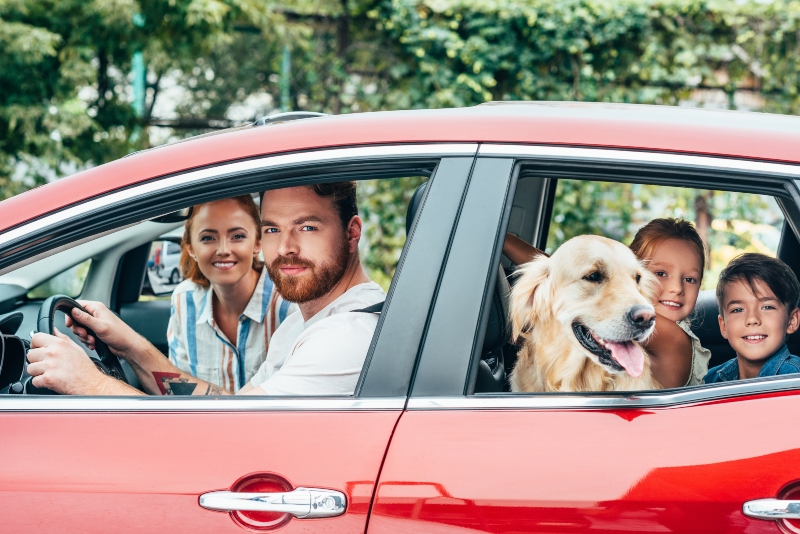 familie mit hund auf dem weg zum freizeitpark