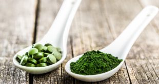 Spirulina für Hunde