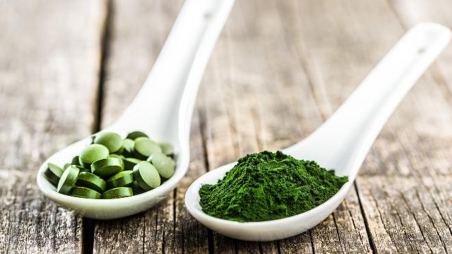 Spirulina für Hunde