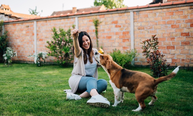 Hund bekommt Leckerli von Frauchen