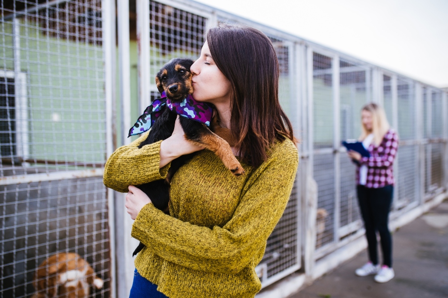 Fellnase aus dem Tierheim aufnehmen Hund kaufen oder adoptieren