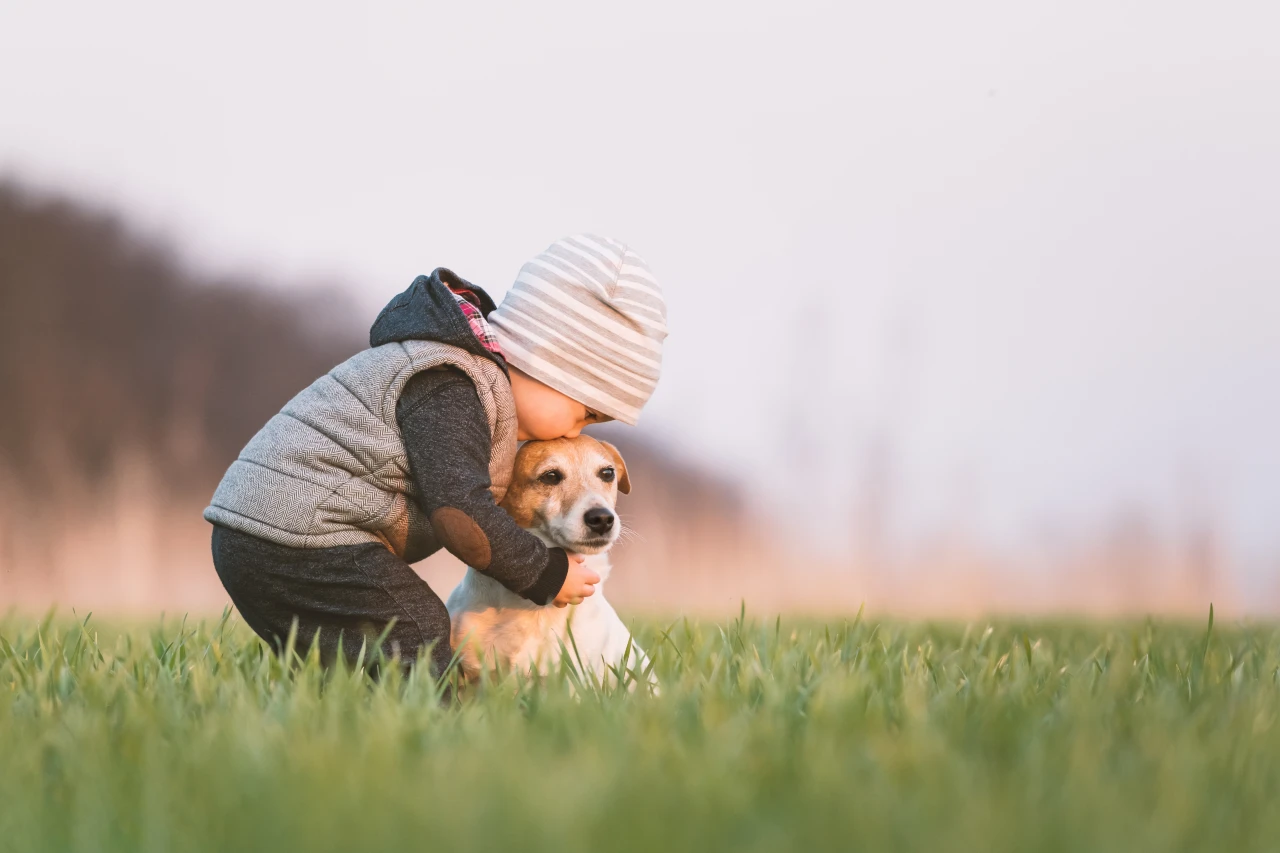 Kinder sollten lernen, die Körpersprache Ihres Hundes richtig zu deuten. Kind küsst Welpe auf den Kopf