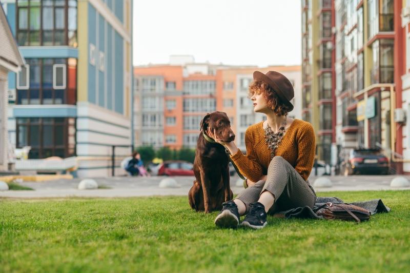 Welche Hunde sind für die Stadtwohnung geeignet?