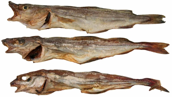 Kabeljau ( ganze Fische )