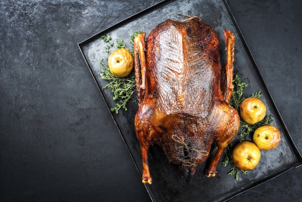 Gänsefleisch für Hunde