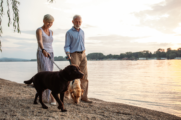 Älteres Paar führt 2 Hunde am See Gassi