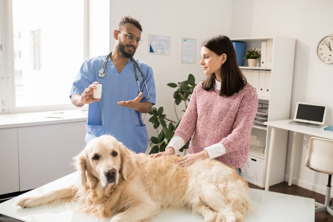 Frauchen mit Hund beim Tierarzt, der überreicht ein Medikament