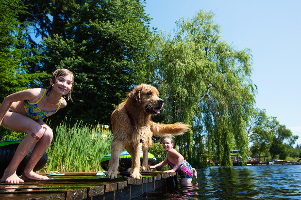 Kinder und Hund am See - Urlaub mit Hund am See