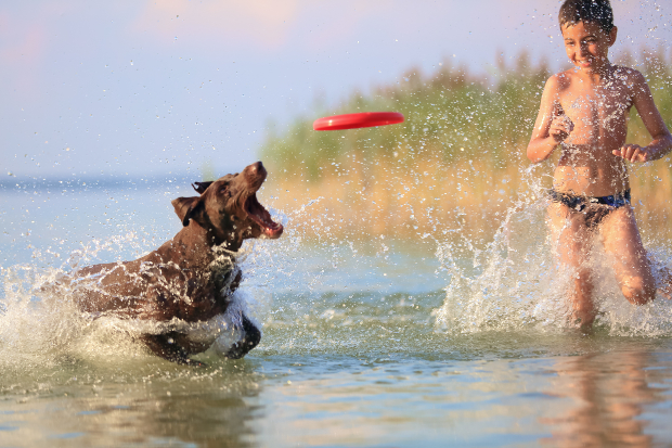 Junge spielt Frisbee mit Hund am See -Urlaub mit Hund am See 