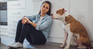 Frauchen mit Welpenblues