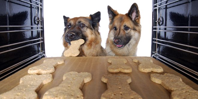 2 Hunde am Backofen - Leckeres Hundebrot