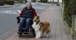 Rollstuhlfahrerin mit Begleithund - Begleithundeprüfung