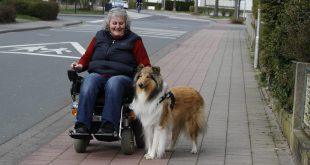 Rollstuhlfahrerin mit Begleithund - Begleithundeprüfung