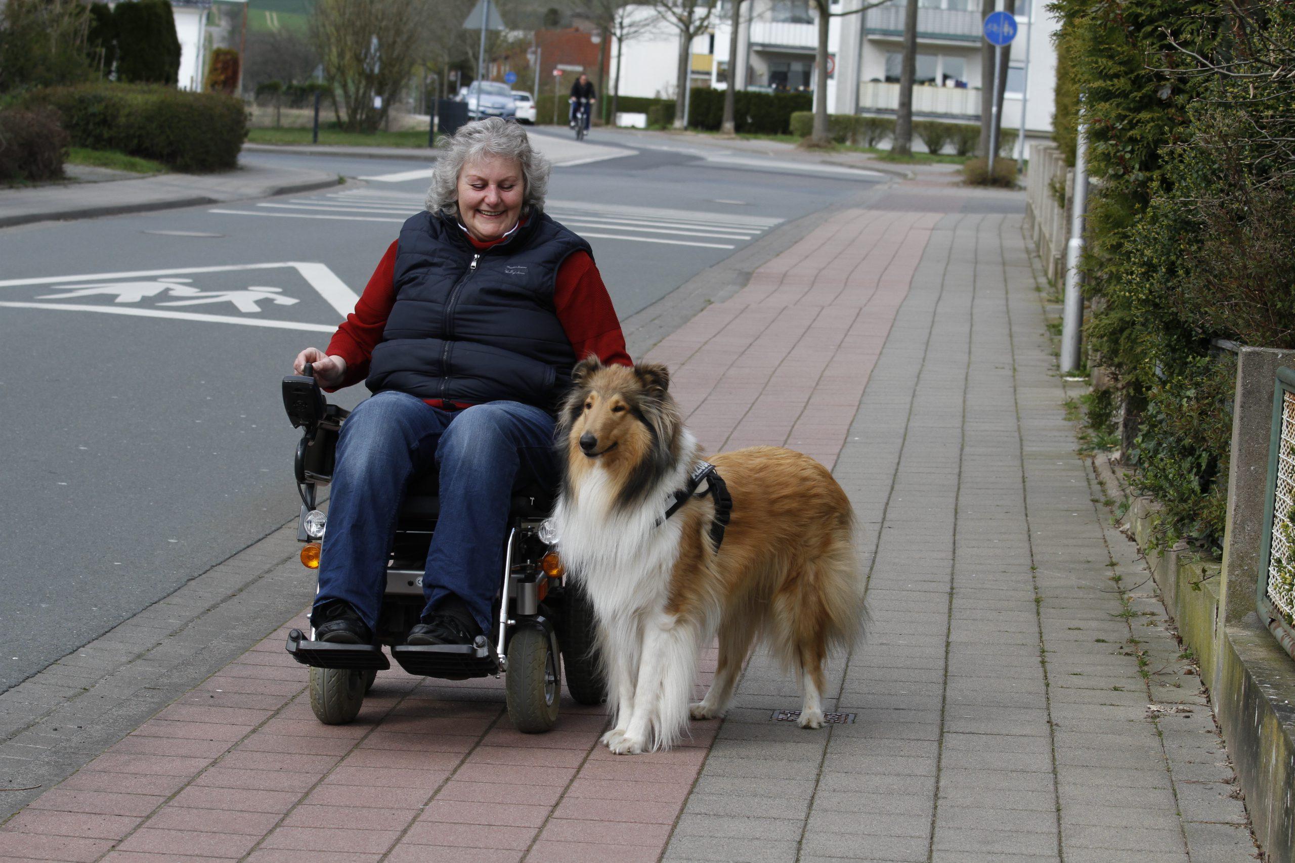 Rollstuhlfahrerin mit Begleithund - BegleithundeprĂŒfung