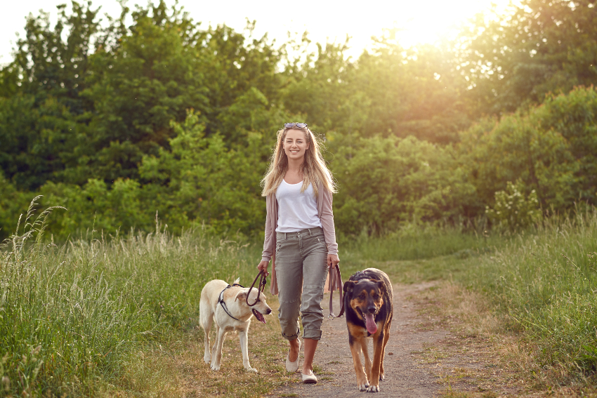 Frauchen geht mit 2 Hunden Gassi - Gassigeh-Pflicht oder Hundeführerschein sinnvoll?