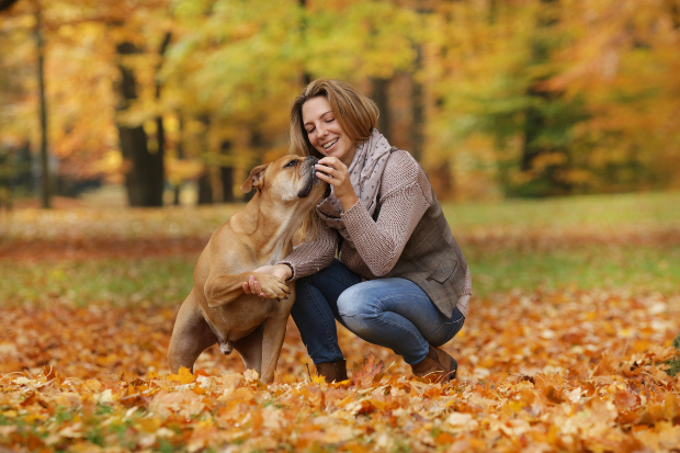 Frauchen füttert Leckerli an Hund - Positive Verstärkung