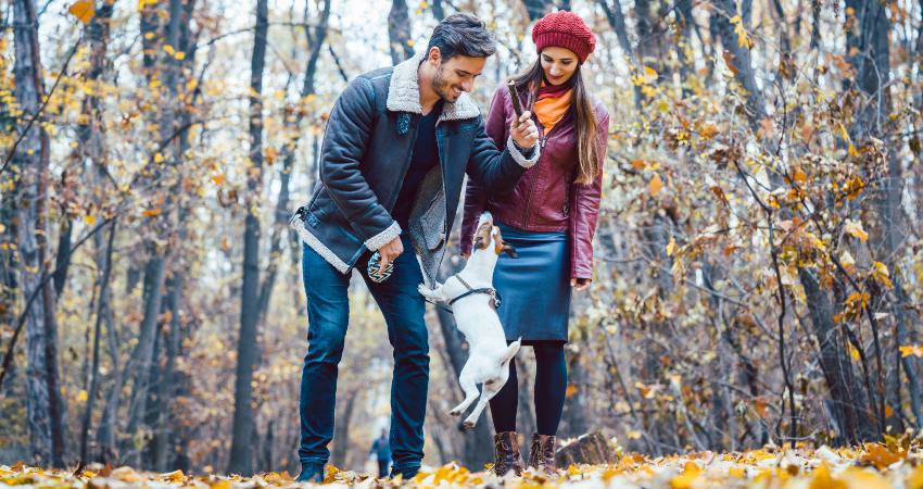PĂ€rchen fĂŒhrt Hund Gassi - Gassigeh-Pflicht oder HundefĂŒhrerschein