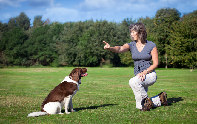 Frau trainiert Hund per Handzeichen