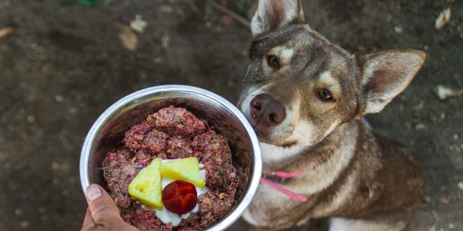 Rindfleisch für Hunde
