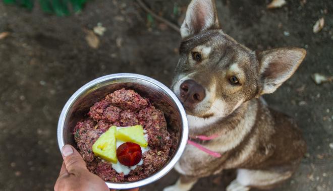 Rindfleisch für Hunde
