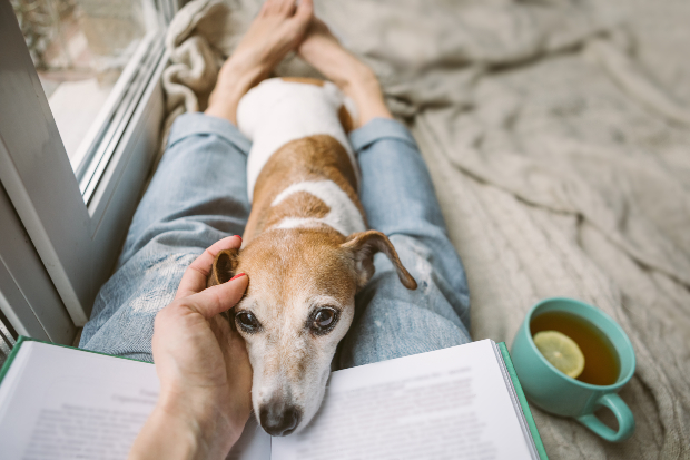 Frauchen streichelt ihren Hund