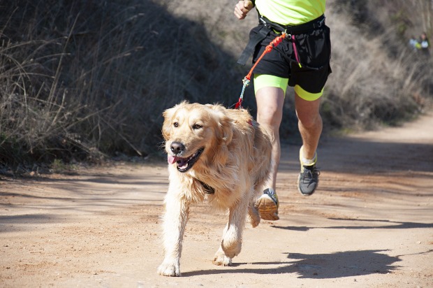 Mann rennt mit seinem Hund