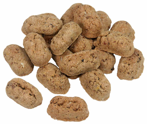 Darmflora beim Hund aufbauen HundeKausnacks Magazin
