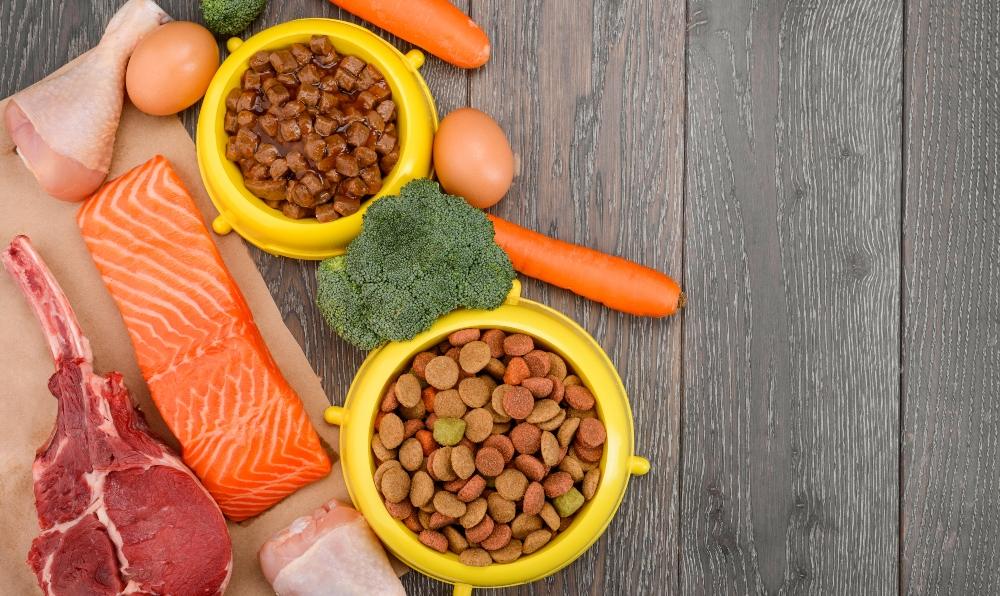 Welche Spurenelemente sind für Hunde wichtig? HundeKausnacks Magazin