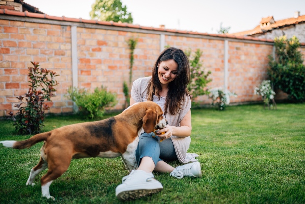 Frauchen füttert Hund im Garten - Spurenelemente sind wichtig für den Hund