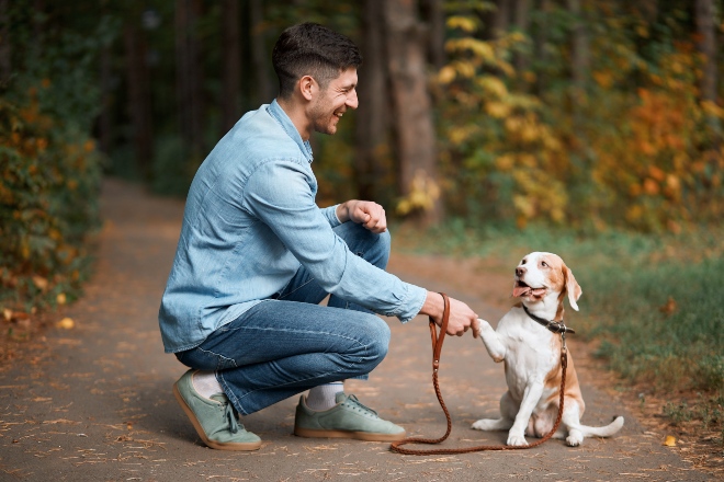 Herrchen gibt kleinem Hund Pfötchen - Grundlegende Hundeerziehungsmethoden