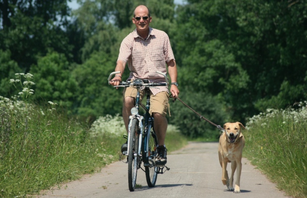 Mann fährt Fahrrad, Hund läuft mit - Kondition beim Hund aufbauen durch Sport