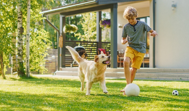 Hund spielt mit Junge - Kondition beim Hund aufbauen