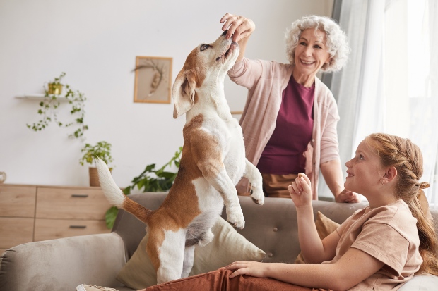 Ältere Dame füttert Hund mit Leckerli, Mädchen schaut zu