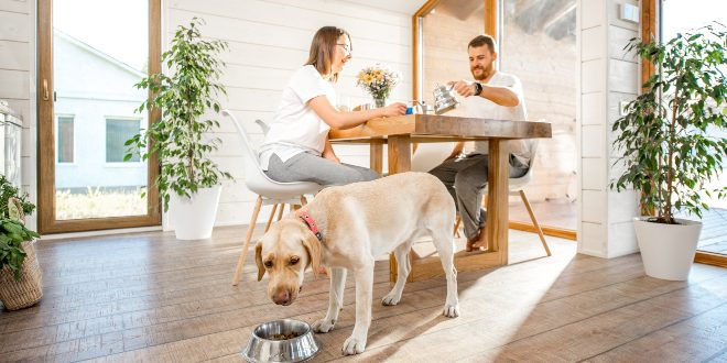 Junges Paar mit Hund - Leber für Hunde