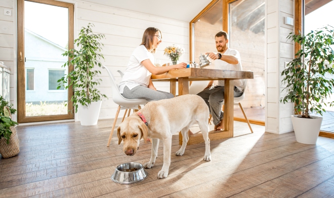 Leber auf dem Speiseplan | Hunde-Kausnacks Magazin