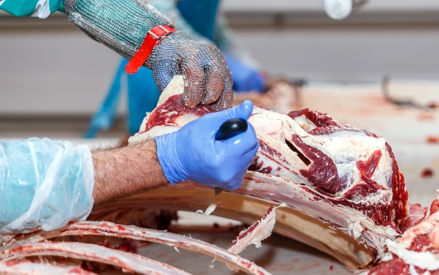 Schlachter zerlegt Tier - die Tierfutterverordnung regelt Details