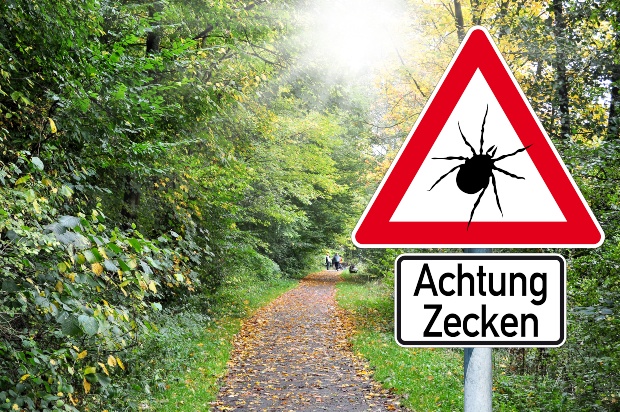 Warnhinweisschild am Waldrand: Achtung Zecken